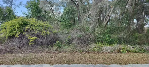 204 Adelphi Street, INVERNESS, FL 34452