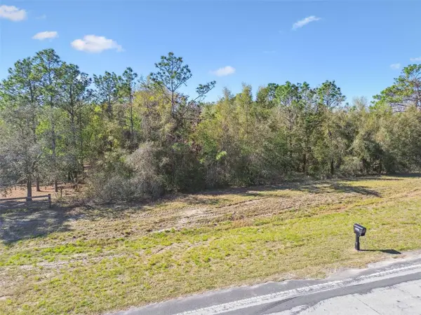 14420 Bailey Hill Road, BROOKSVILLE, FL 34614
