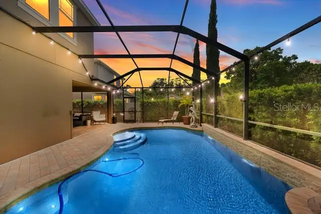 7029 Dowling Mill Circle, Tampa, FL 33625 - Image #2