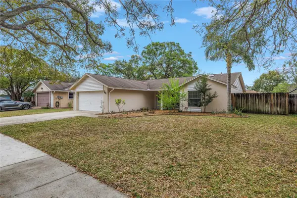 4806 Country Hills Drive, TAMPA, FL 33624