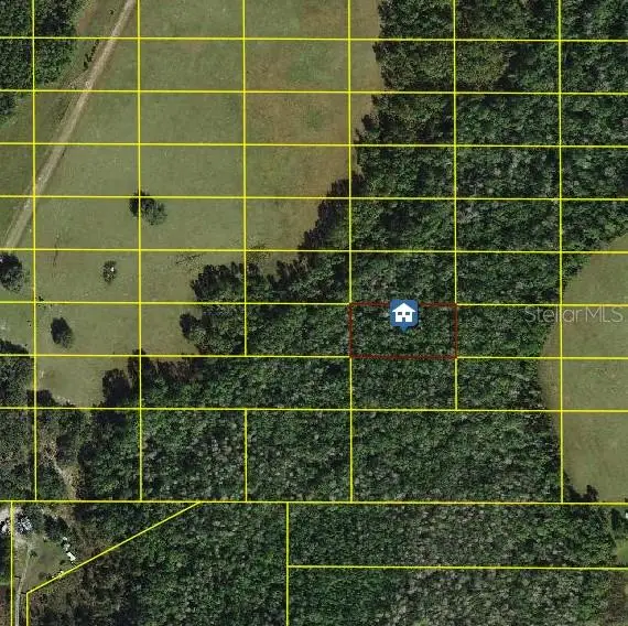 Tall Pine Road, POLK CITY, FL 33868
