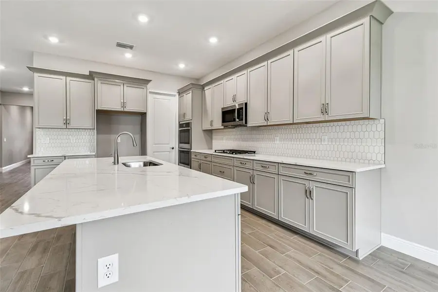 12309 White Blossom Court, Parrish, FL 34219 - Image #2