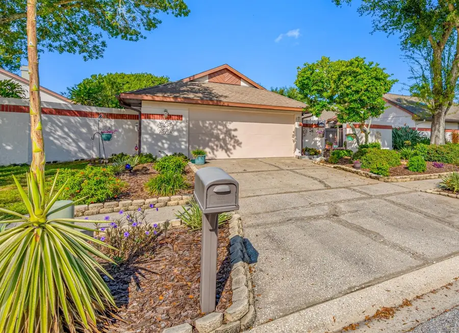 6924 Silvermill Drive, Tampa, FL 33635 - Image #2