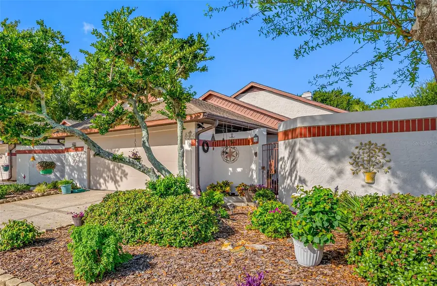 6924 Silvermill Drive, Tampa, FL 33635 - Image #3