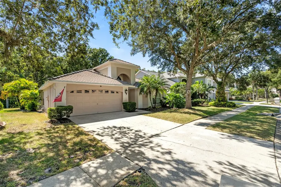 5542 Avenue Du Soleil, Lutz, FL 33558 - Image #2