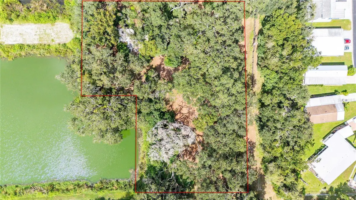 33933 Brumwell Drive, Wesley Chapel, FL 33543 - Image #1