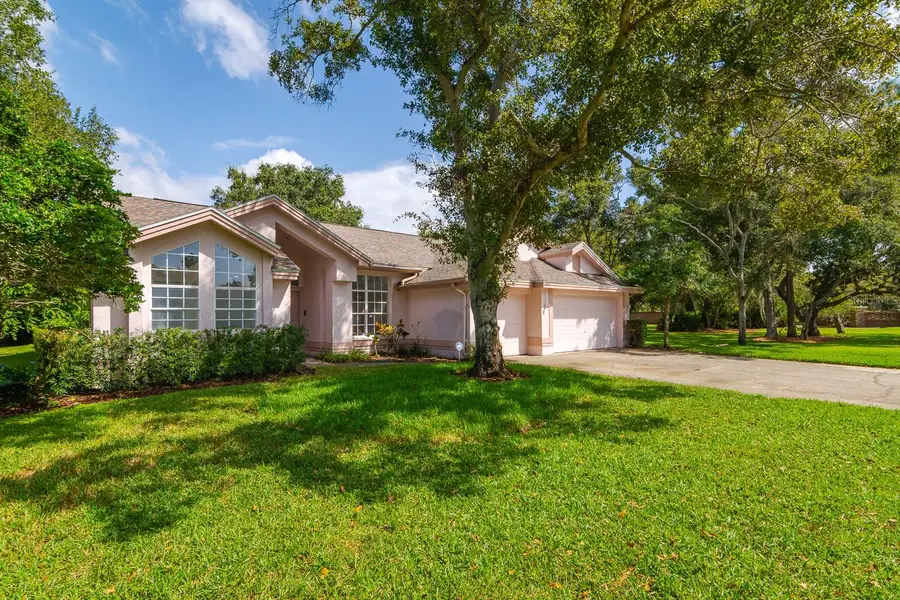 3064 Homestead Oaks Drive, Clearwater, FL 33759 - Image #3