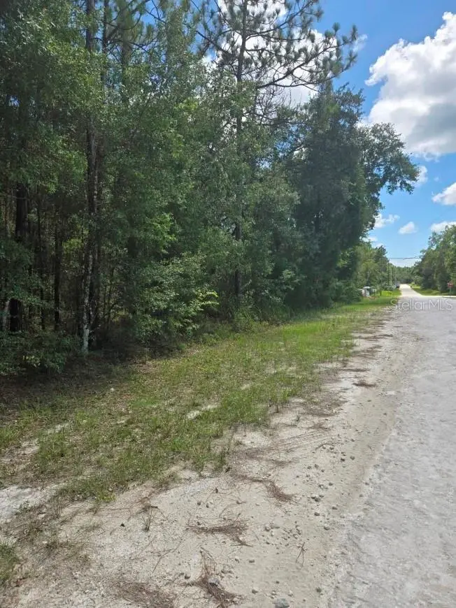14126 Ricebird Avenue, Brooksville, FL 34614 - Image #2
