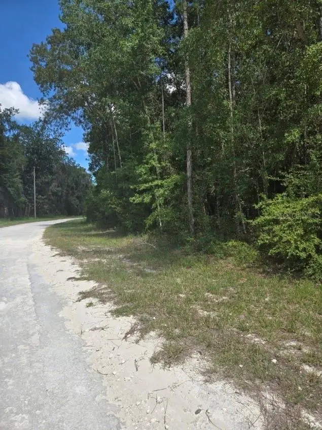 14126 Ricebird Avenue, Brooksville, FL 34614 - Image #3