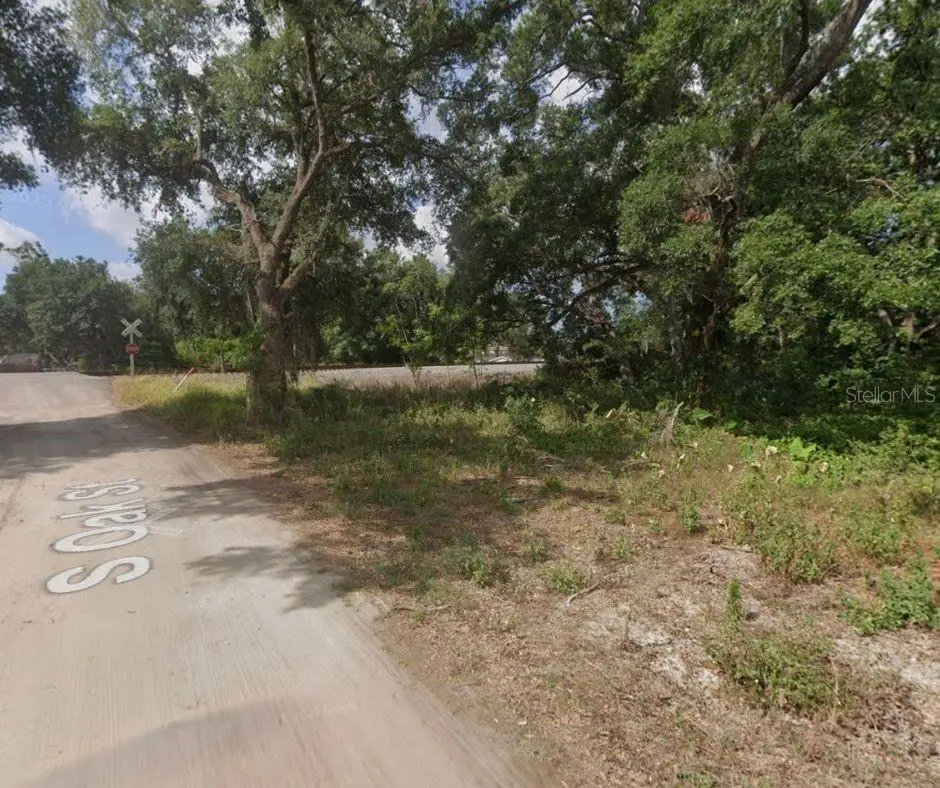 S Oak Street, Seffner, FL 33584 - Image #1