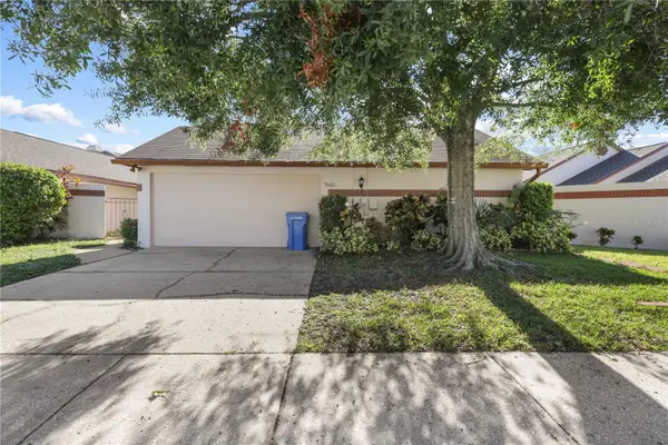 7005 Silvermill Drive, TAMPA, FL 33635