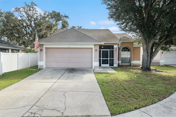 4704 Stove Place, VALRICO, FL 33596