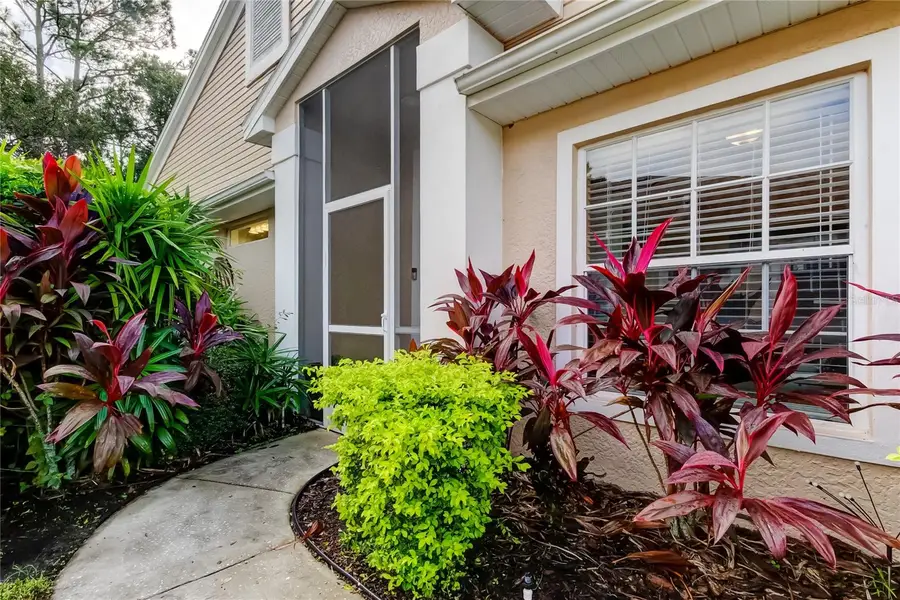 4409 Connery Court, Palm Harbor, FL 34685 - Image #2