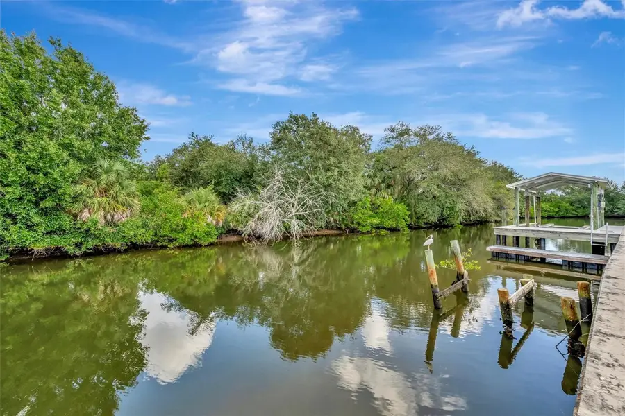 236 N Saint Thomas Circle, Apollo Beach, FL 33572 - Image #3