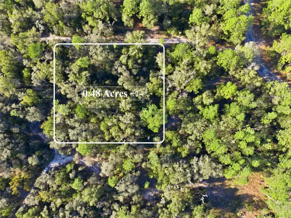 7570 W Pixie Lane, DUNNELLON, FL 34433