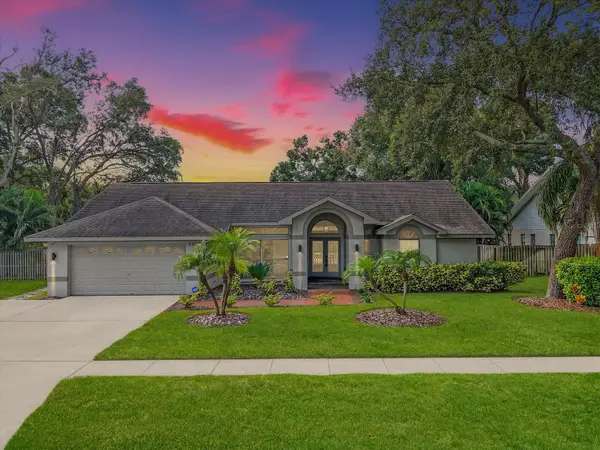 3805 Cliffdale Drive, VALRICO, FL 33594