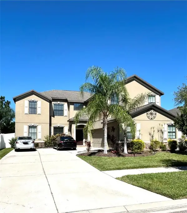 13809 Felix Will Road, RIVERVIEW, FL 33579