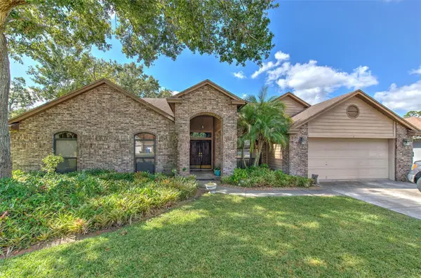 3834 Cold Creek Drive, VALRICO, FL 33596