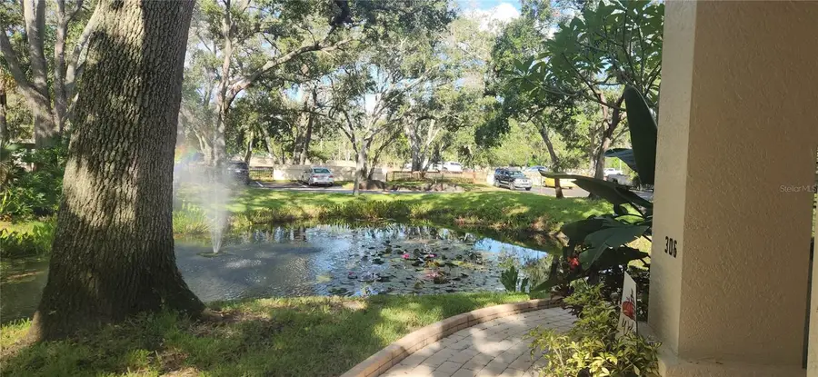 304 Los Prados #304, Safety Harbor, FL 34695 - Image #2