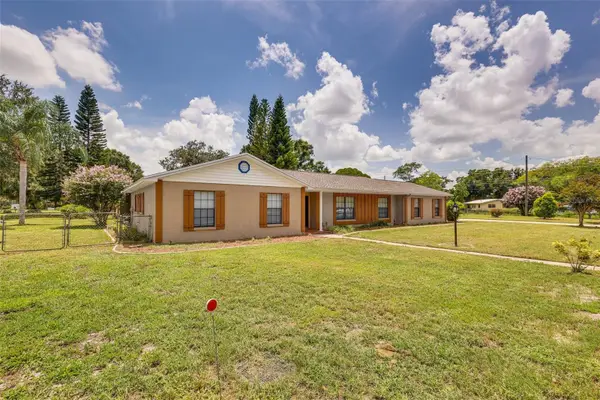920 Lakeview Drive, WIMAUMA, FL 33598