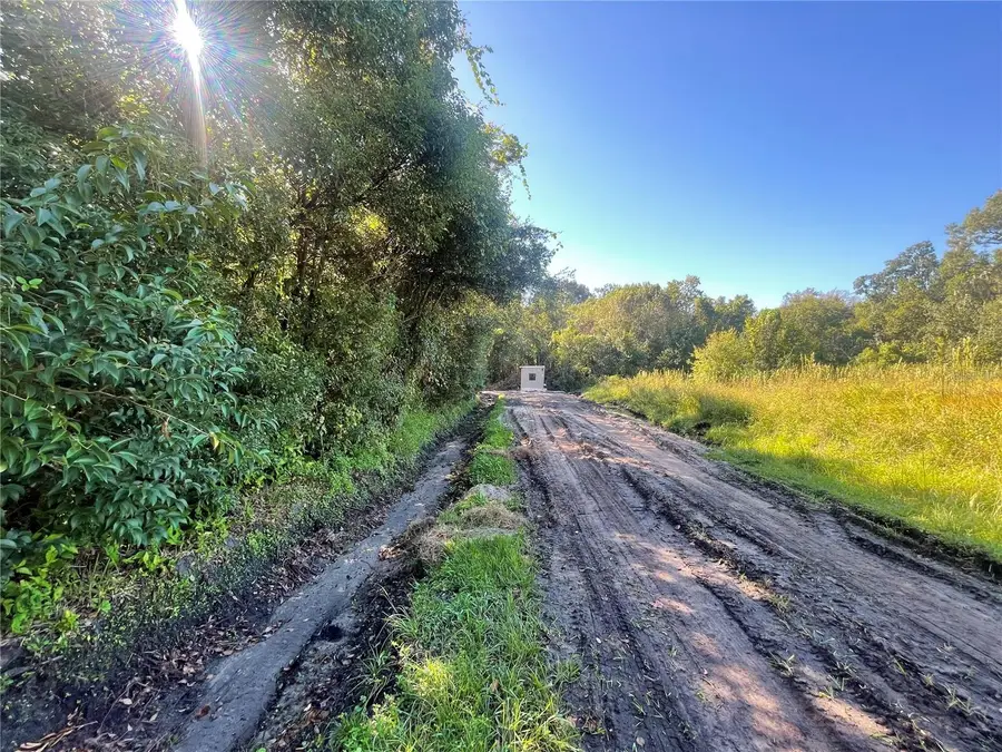 114 Pevetty Drive, Plant City, FL 33563 - Image #3