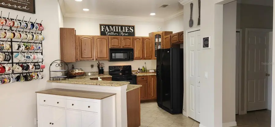 239 Mystic Falls Drive, Apollo Beach, FL 33572 - Image #2