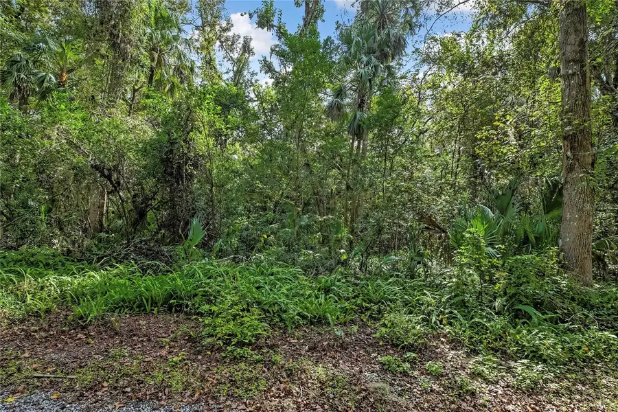 9346 E Sleepy Oak Court, Inverness, FL 34453 - Image #3