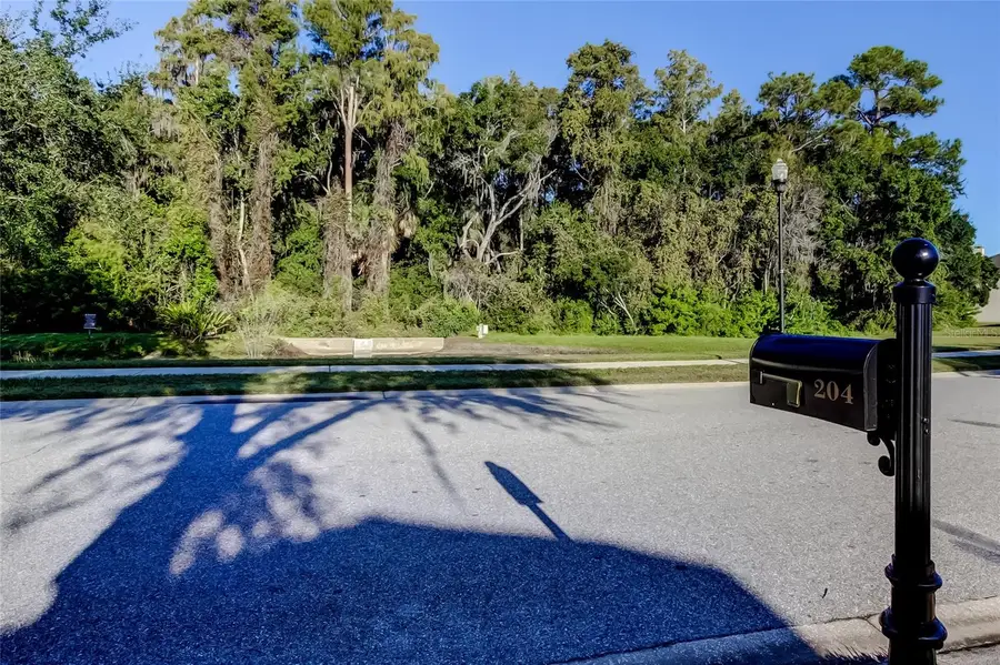 204 Bay Arbor Boulevard, Oldsmar, FL 34677 - Image #3