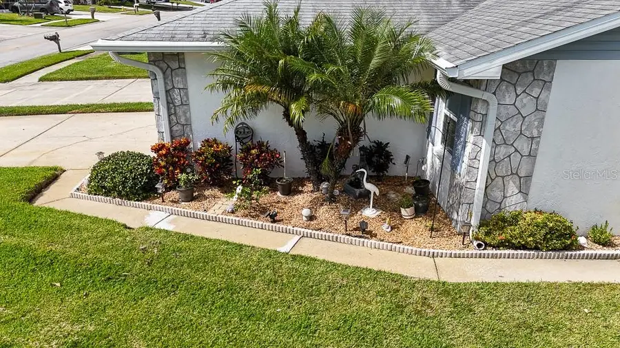 3273 Mcmath Drive, Palm Harbor, FL 34684 - Image #3