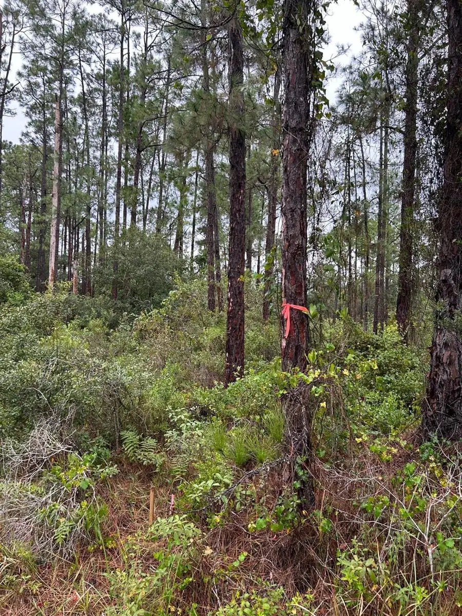 3117 51st Street W, Lehigh Acres, FL 33971 - #1