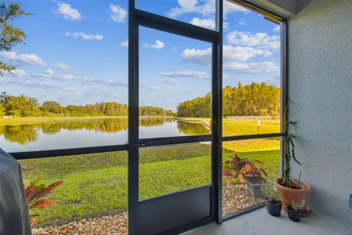 2213 Cerulean Sky Drive, Lutz, FL 33558 - Image #1