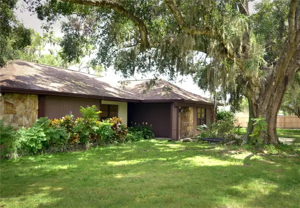 1825 Streetman Drive, LITHIA, FL 33547