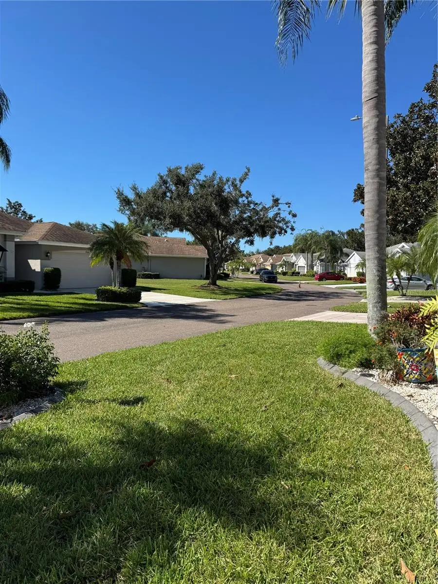 2305 Olive Branch Drive, Sun City Center, FL 33573 - Image #2