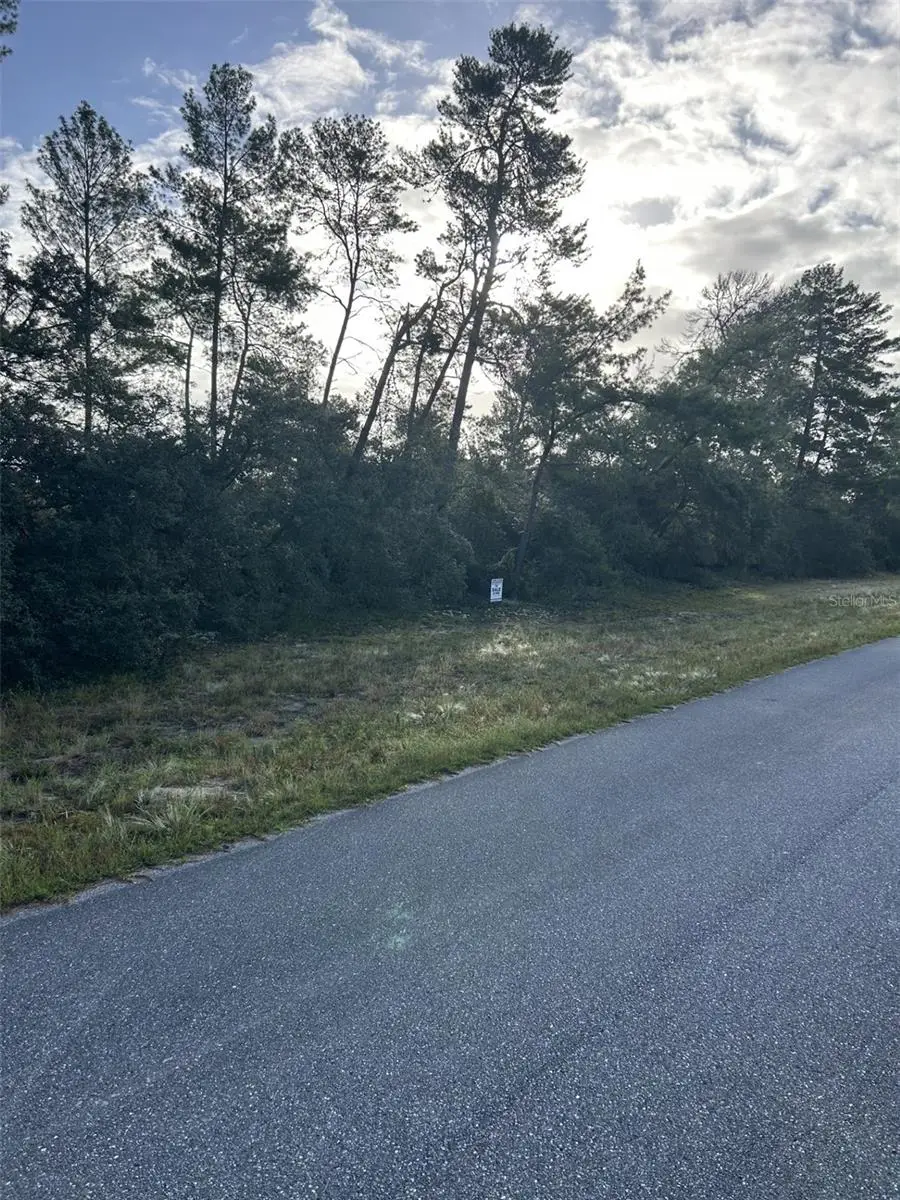 17213 SW 28th Avenue, Ocala, FL 34473 - Image #2