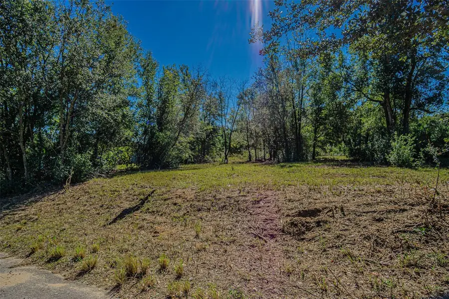 Trotter Lane, Dade City, FL 33525 - Image #3