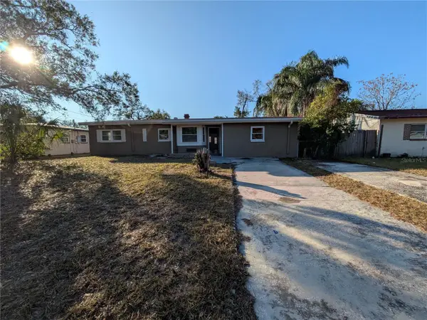 1817 Meridel Avenue, TAMPA, FL 33612