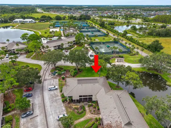 4947 Mill Pond Road #3103 & 3105, WESLEY CHAPEL, FL 33543