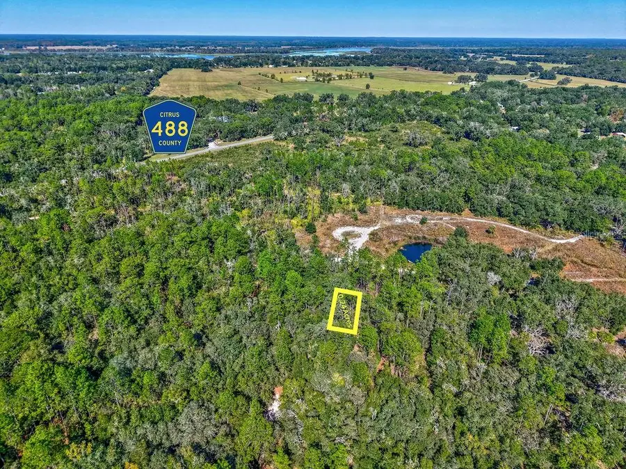 7157 W Contentment Lane, Dunnellon, FL 34433 - Image #3