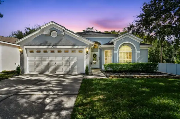 13401 Fawn Springs Drive, TAMPA, FL 33626