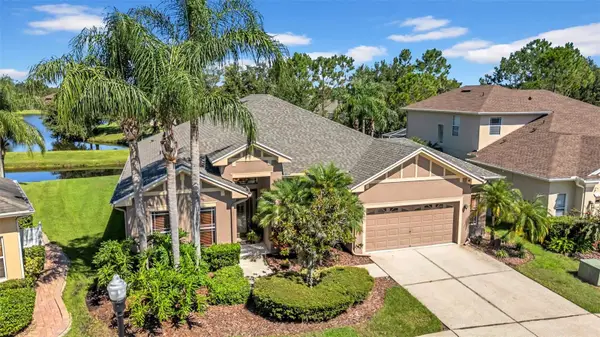 3254 Grassglen Place, WESLEY CHAPEL, FL 33544