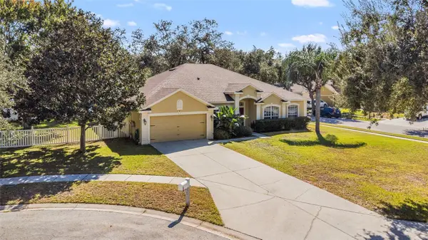 12506 Safari Lane, RIVERVIEW, FL 33579