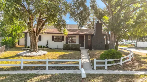 718 Belt Court, TAMPA, FL 33612