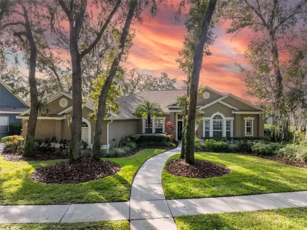 15015 Eaglerise Drive, LITHIA, FL 33547