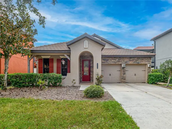 8249 Dunham Station Drive, TAMPA, FL 33647