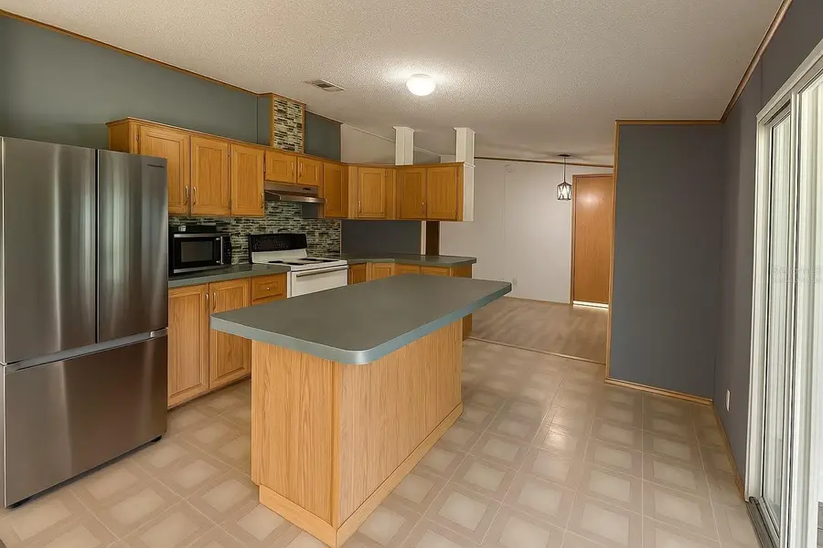 1660 Belmont Woods Drive, Mulberry, FL 33860 - Image #3