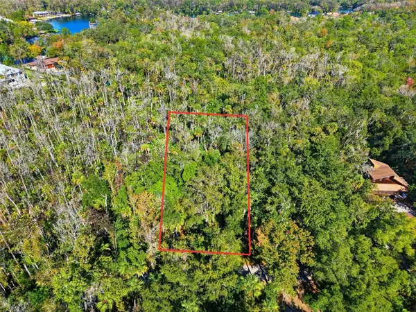4485 S Lewoods Drive, HOMOSASSA, FL 34448