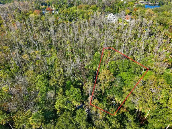 4465 S Lewoods Drive, HOMOSASSA, FL 34448