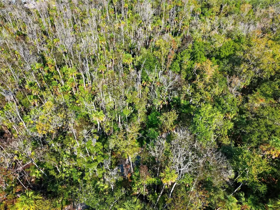 4465 S Lewoods Drive, Homosassa, FL 34448 - Image #2