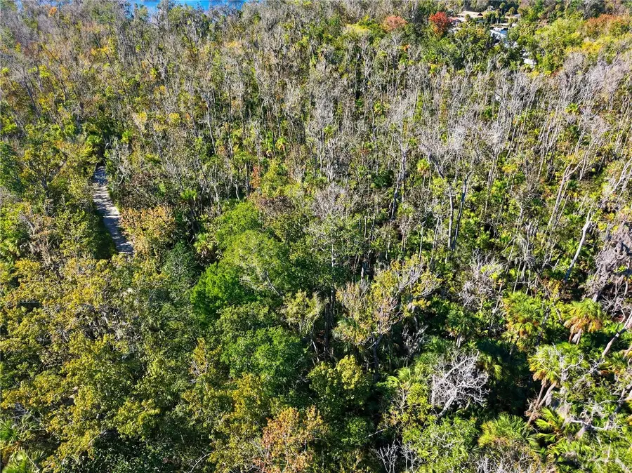 4465 S Lewoods Drive, Homosassa, FL 34448 - Image #3