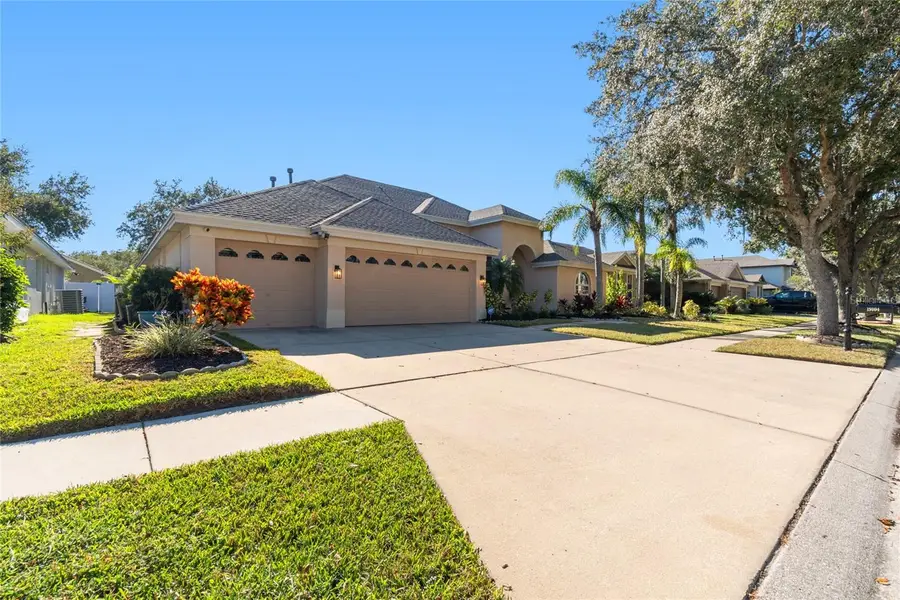 19104 Nature Palm Lane, Tampa, FL 33647 - Image #3